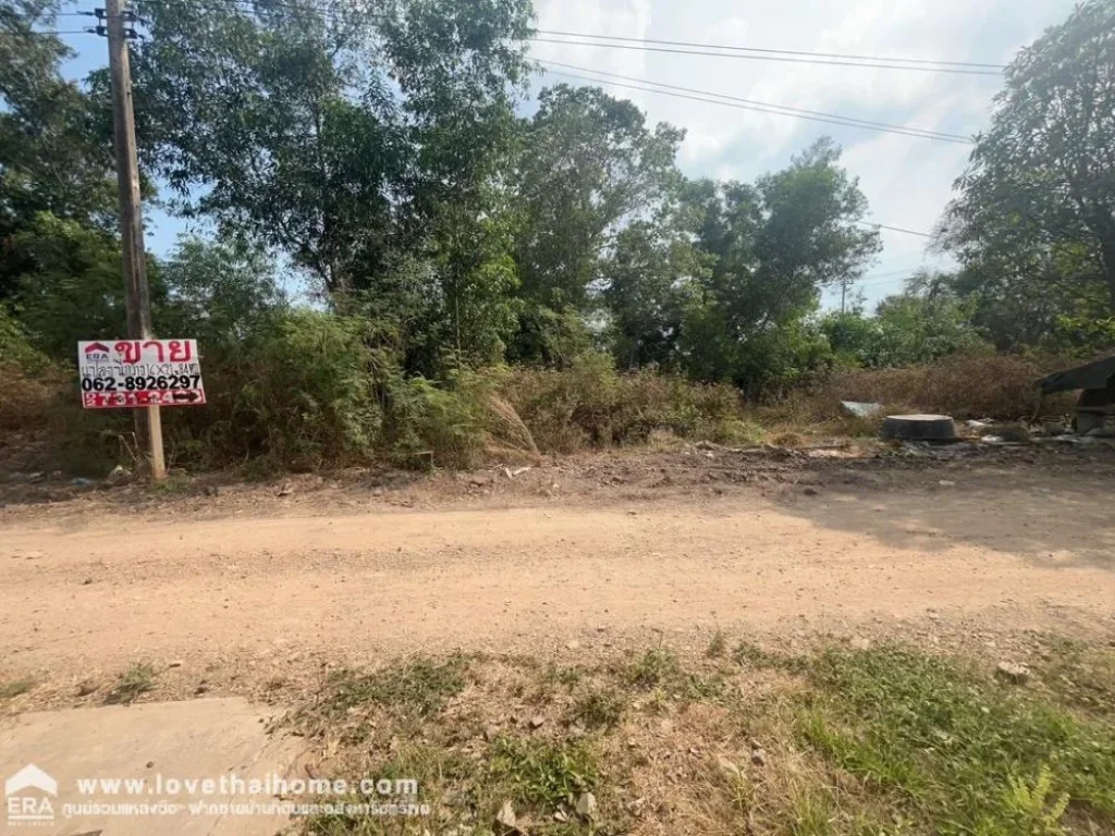 ขายที่ดิน ถมแล้ว คลองหลวง คลอง5 ถนนธัญบุรี ปทุมธานี พื้นที่