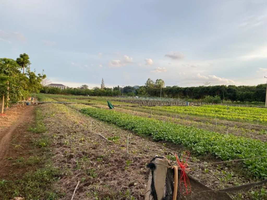 ขายที่ดินริมน้ำ หลังTayama Farm Khaoyai วิวลำธารเขา