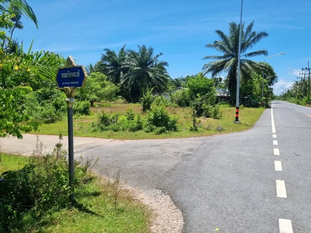 ที่ดินติดทะเล หาดยาว ในจังหวัดกระบี่ ที่ดินทำเลทอง