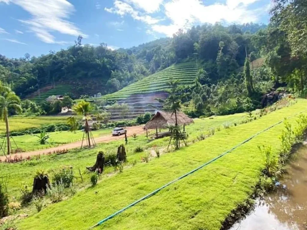 ขายที่ดินพัฒนาเรียบร้อยสะเมิงเหนือติดน้ำติดภูเขาพร้อมโอน