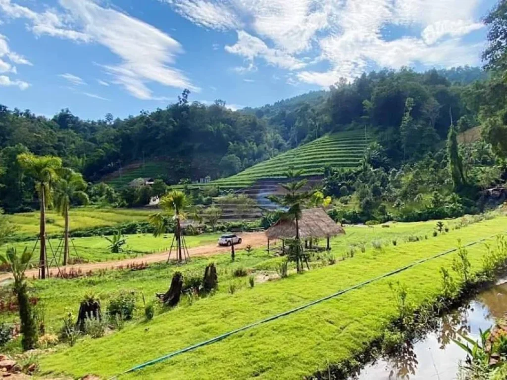 ขายที่ดินพัฒนาเรียบร้อยสะเมิงเหนือติดน้ำติดภูเขาพร้อมโอน