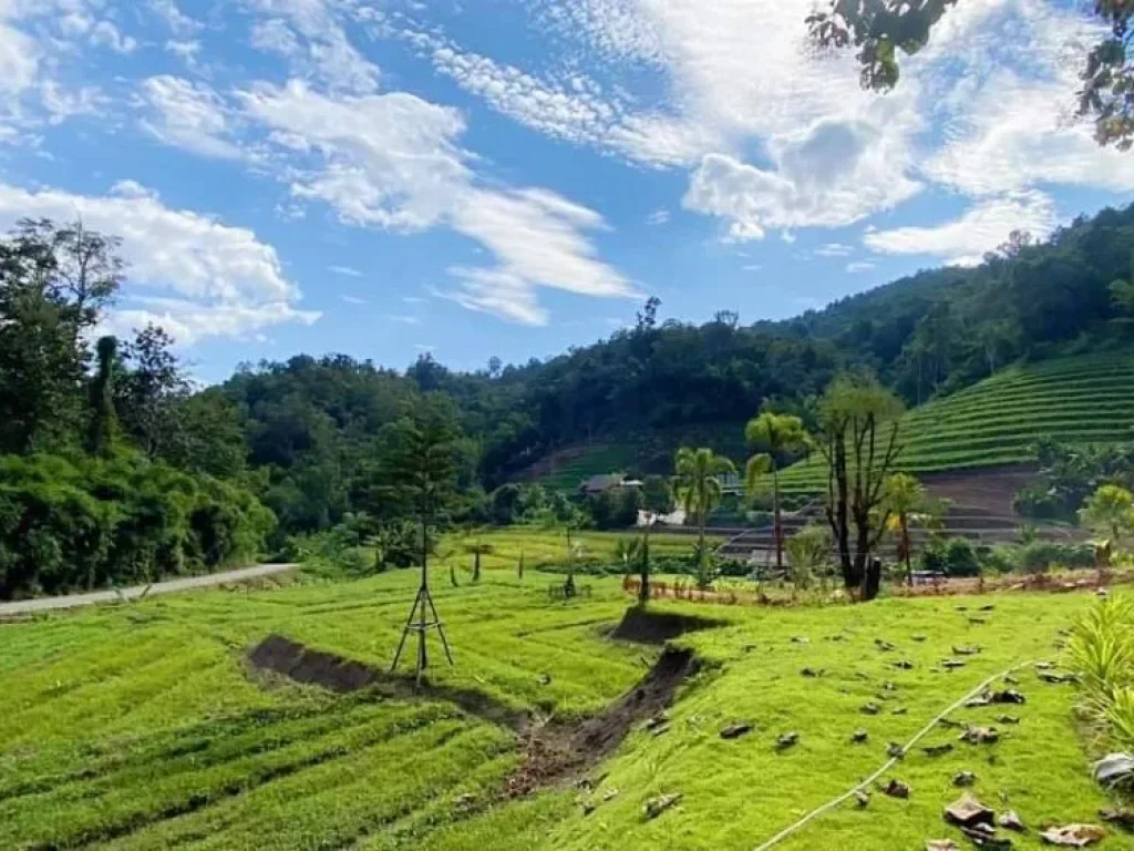 ขายที่ดินพัฒนาเรียบร้อยสะเมิงเหนือติดน้ำติดภูเขาพร้อมโอน