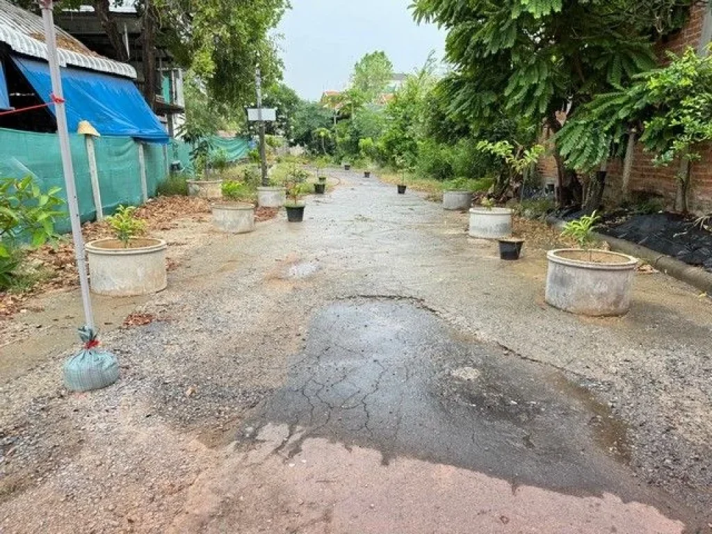 ขายด่วน ที่ดินถมแล้ว ติดถนนหลัก ติดแยกวัดคูหาสวรรค์