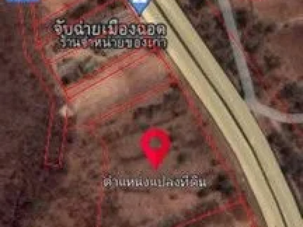 ขายด่วน ที่ดิน ตวังจันทร์ อสามเงา จตาก 9 ไร่ 1 งาน 58 ตรว