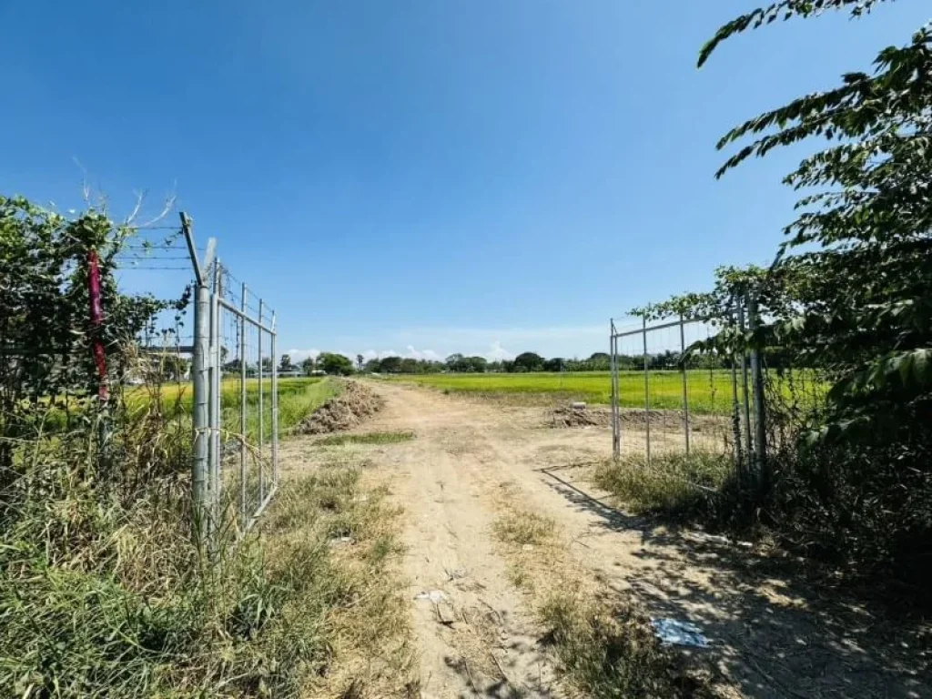 ที่ดินถมแล้วติดถนนวัดศรีวารีน้อย บางโฉลง บางพลี สมุทรปราการ