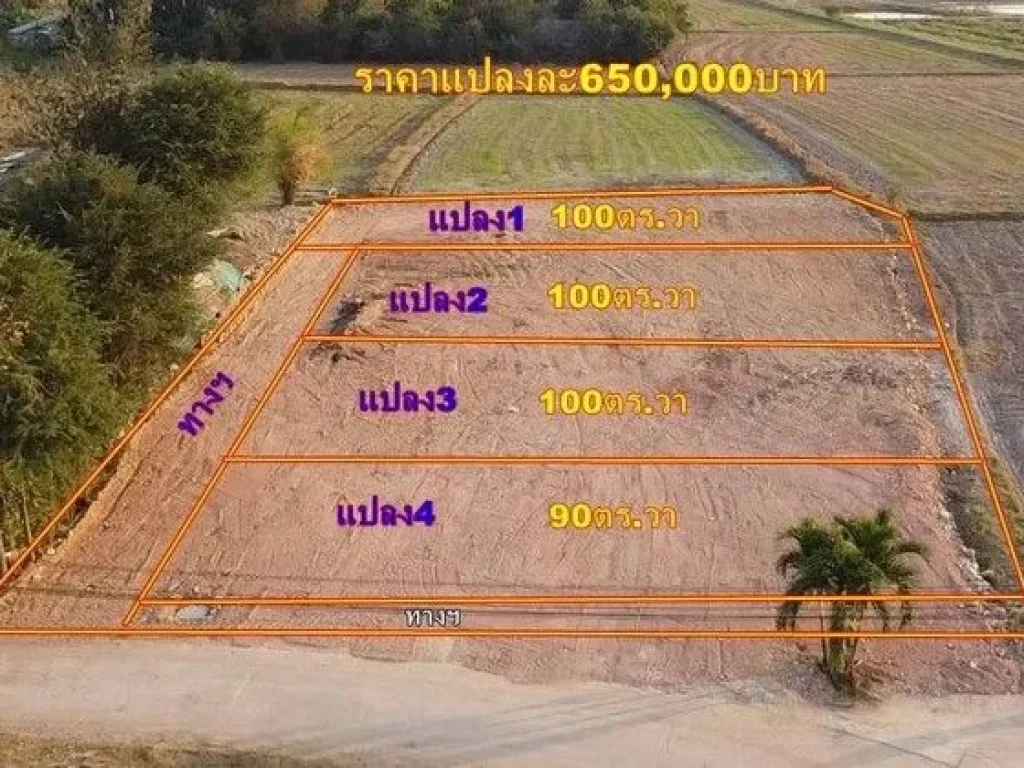 ขายที่ดินทำเลดี 100 ตารางวา มีเพื่อนบ้าน วิวสวย บรรยากาศดี