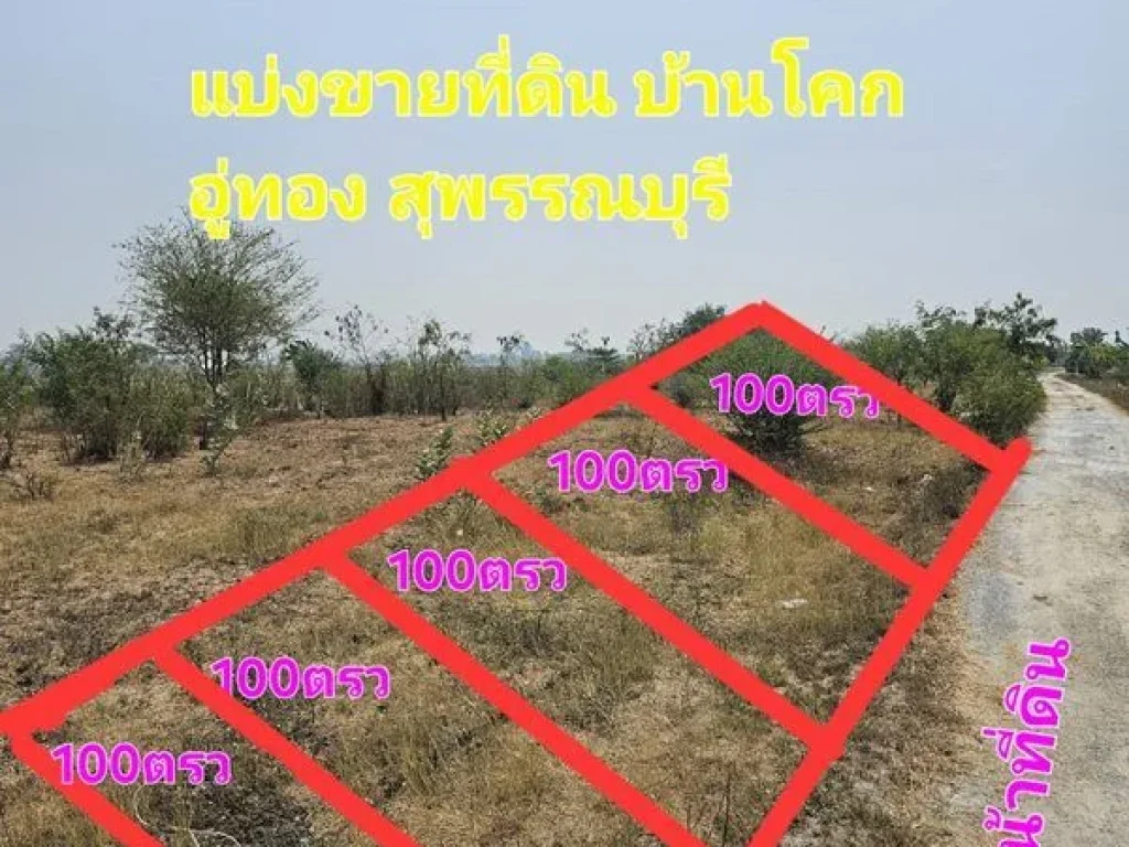 ขายด่วน แบ่งขายที่ดิน 100 ตรว อำเภออู่ทอง จังหวัดสุพรรณบุรี