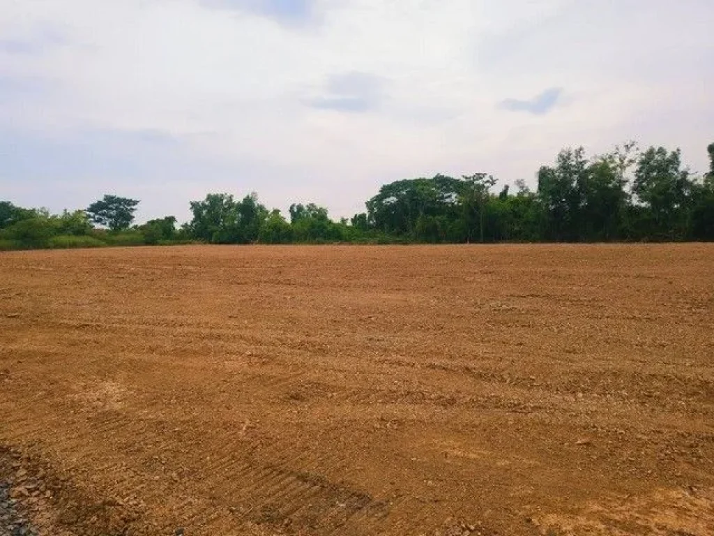 ขายที่ดิน 2-4 ไร่ ตำบลพืชอุดม อำเภอลำลูกกา จังหวัดปทุมธานี