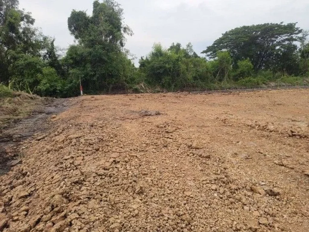 ขายที่ดิน 2-4 ไร่ ตำบลพืชอุดม อำเภอลำลูกกา จังหวัดปทุมธานี