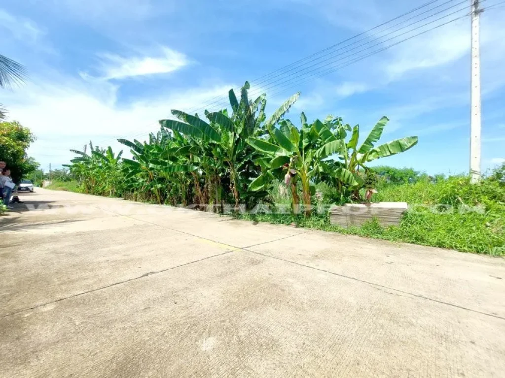 ที่ดินจัดสรร ซสุคะโต ถสะพานพระราม 8 เมืองปทุมธานี