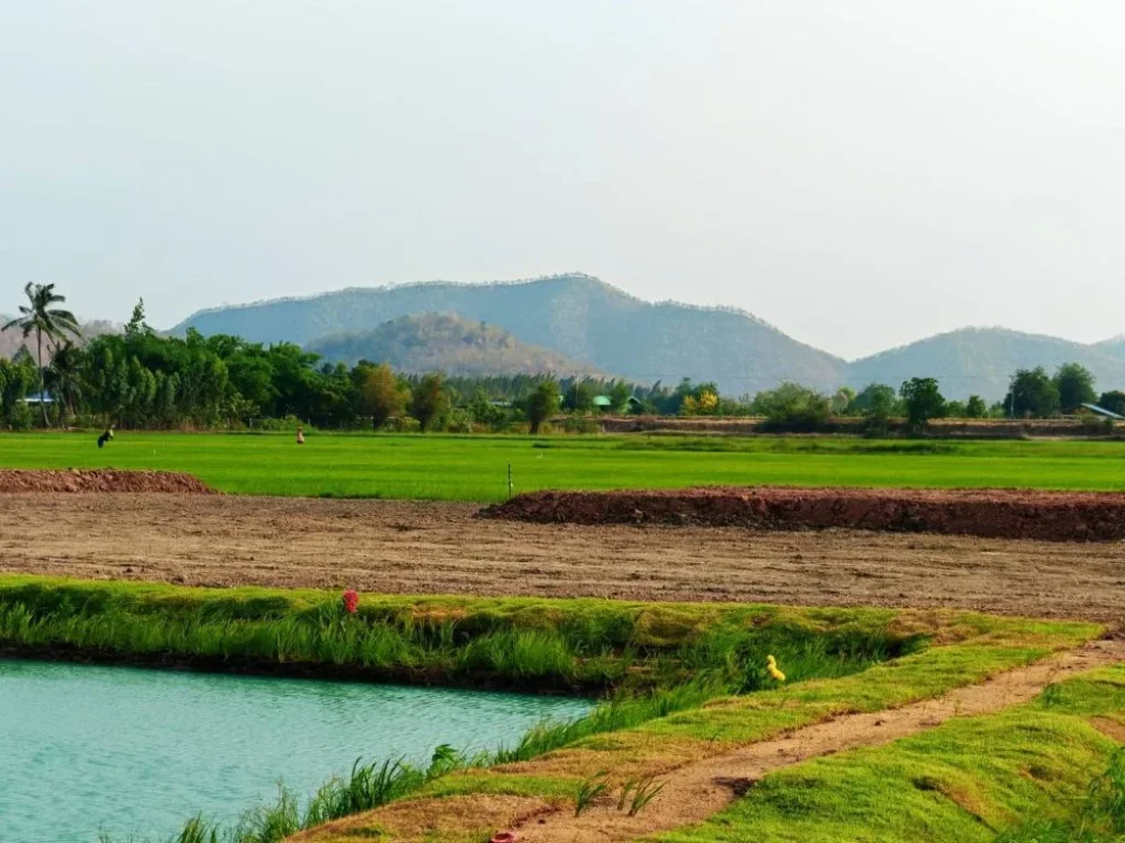 ขายที่ดิน 172 ตรวใกล้วัดถ้ำเสือ สด ผ่อน ตบ้านใหม่ ท่าม่วง