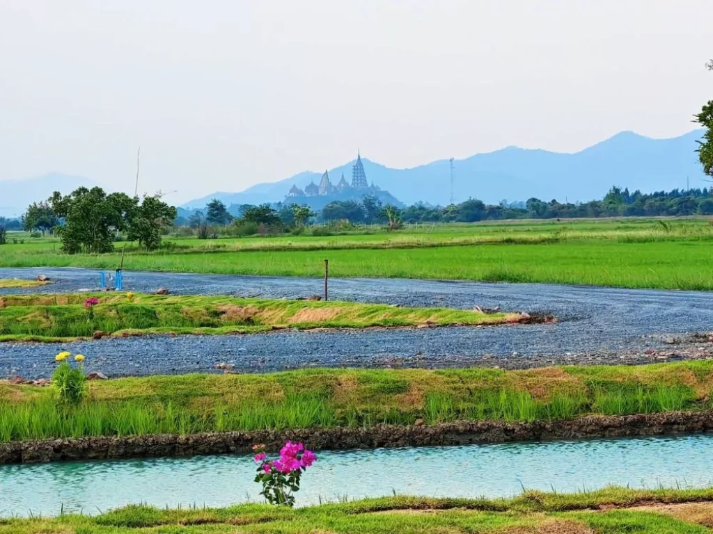 ขายที่ดิน 172 ตรวใกล้วัดถ้ำเสือ สด ผ่อน ตบ้านใหม่ ท่าม่วง