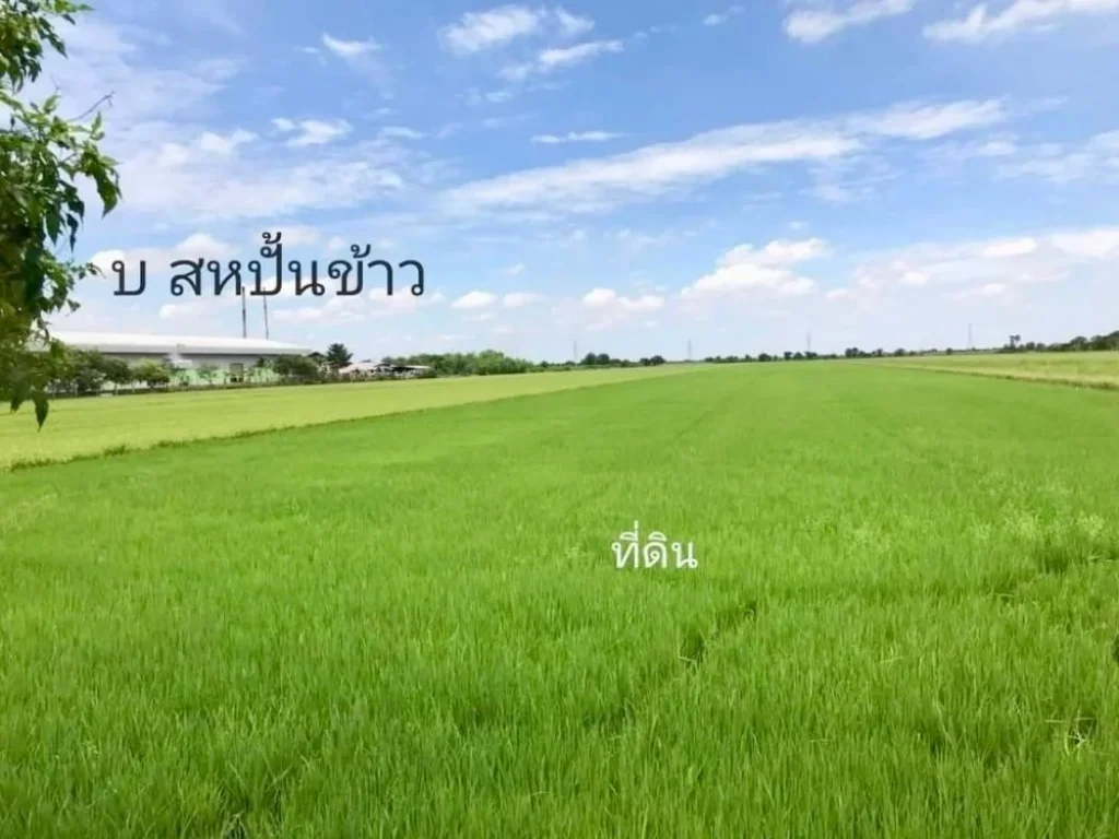 ขายที่ดิน อไทรน้อย จนนทบุรี พื้นที่27-1-52ตรวที่ดินผังสีม