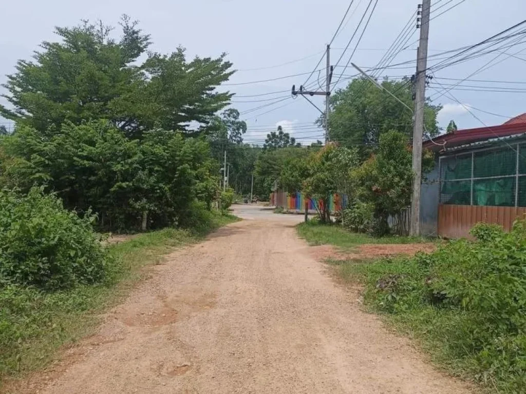 ขายที่ดิน ใกล้สนามบินนานาชาติหาดใหญ่ อหาดใหญ่ จสงขลา