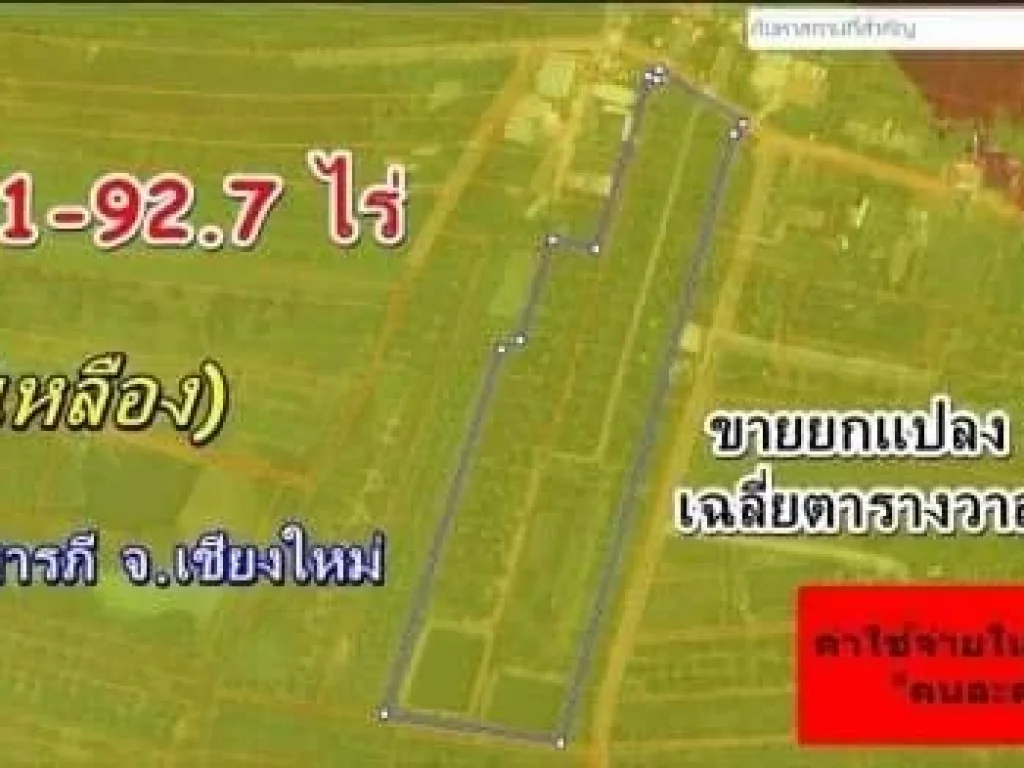 ขายยกแปลง 235 ล้าน 11-1-927 ไร่ ยางเนิ้ง สารภี ผังสีเหลือง