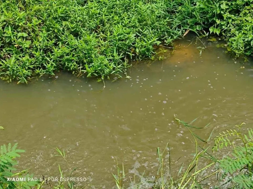 ขายที่ดินตำบลป่าป้องดอยสะเก็ตติดคลองถมดินเรียบร้อย