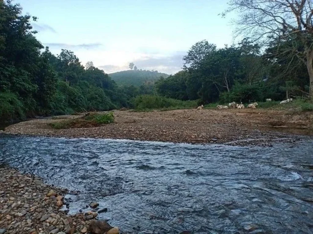 รวยทรัพย์ซื้อเก็บบ้านที่ดินเพื่ออนาคตร่ำรวย