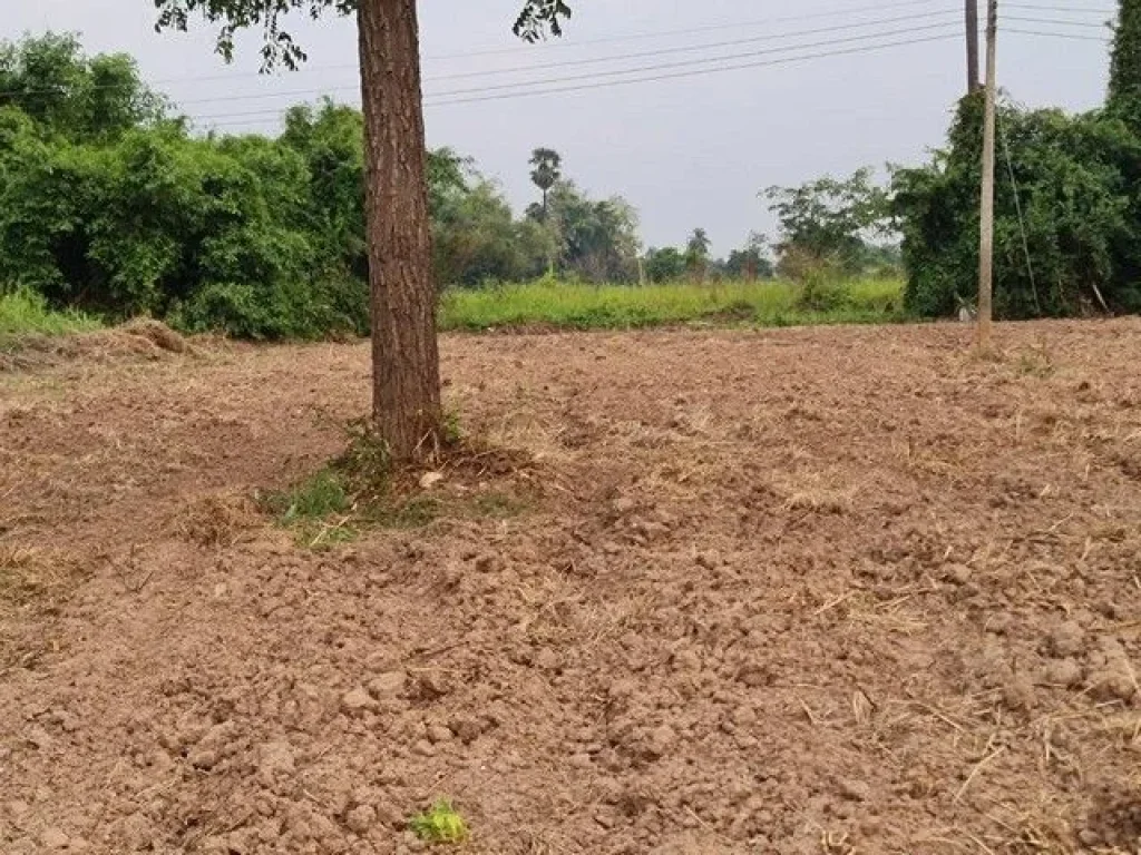 รวยทรัพย์ซื้อเก็บบ้านที่ดินเพื่ออนาคตร่ำรวย ขาย