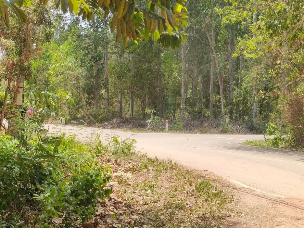 ขายที่ดินเปล่า 1 ไร่ใกล้หาดแหลมแม่พิมพ์ ที่ดินถมแล้วติดถนนมี