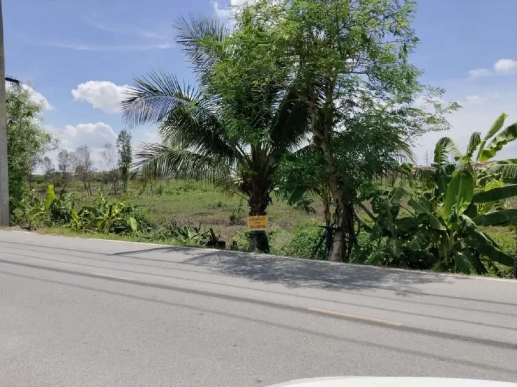 ขายที่ดินเปล่า 128 ไร่ ติดถนนซอยวัดคลองพุทรา ถนนอุดมสรยุทธ์