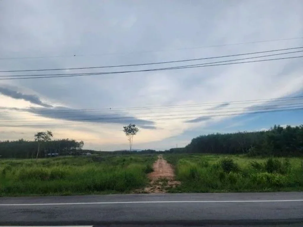 ที่ดินหนองเสือช้าง หนองใหญ่ ใกล้นิคมอุสาหกรรม ติดถนนใหญ่ 4