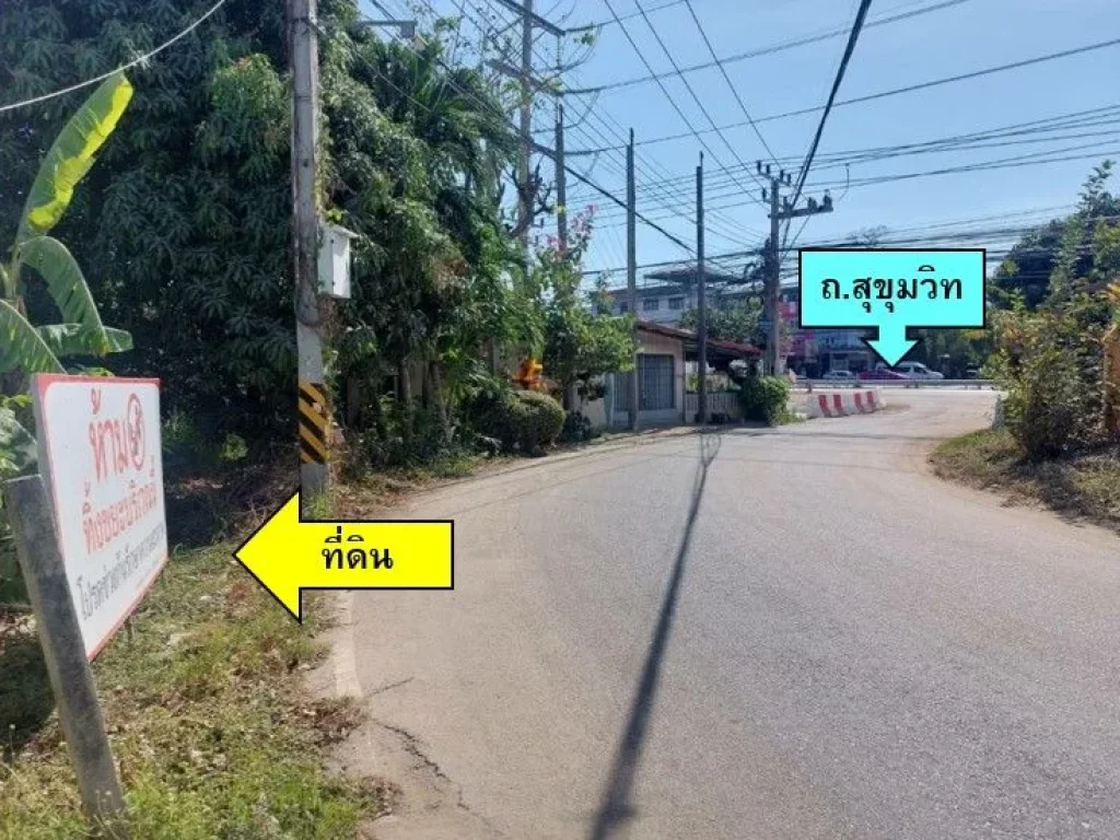 ขายที่ดินบางพระ ศรีราชา ใกล้ถสุขุมวิท 35 ไร่