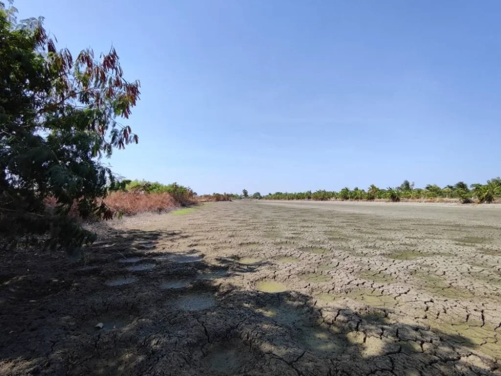 ขายที่ดิน ซอยวัดศรีวารีน้อย บางเสาธง สมุทรปราการ 3ไร่