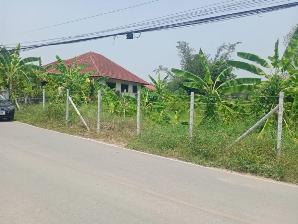 ขายที่ดินติดถนนคอนกรีตแถวสันพระเนตรสันทรายใกล้เทศบาลพร้อมโอน