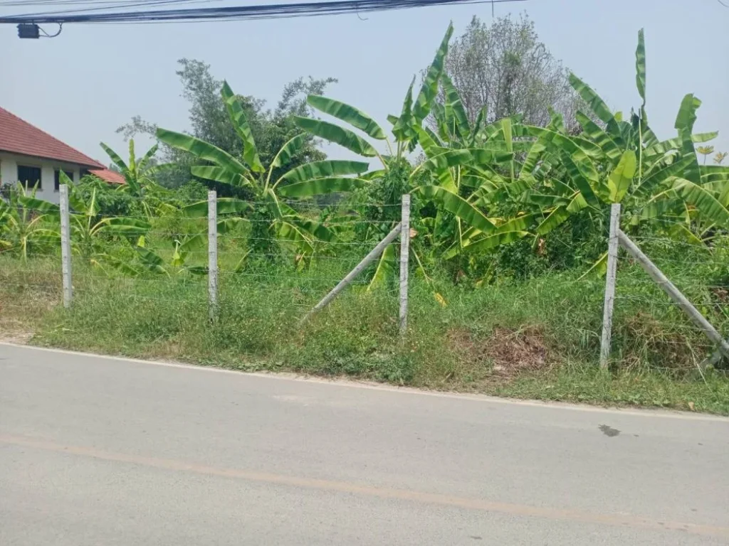 ขายที่ดินติดถนนคอนกรีตแถวสันพระเนตรสันทรายใกล้เทศบาลพร้อมโอน