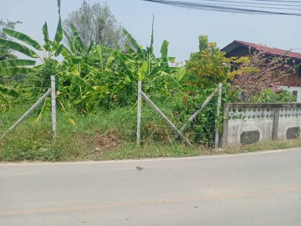 ขายที่ดินติดถนนคอนกรีตแถวสันพระเนตรสันทรายใกล้เทศบาลพร้อมโอน