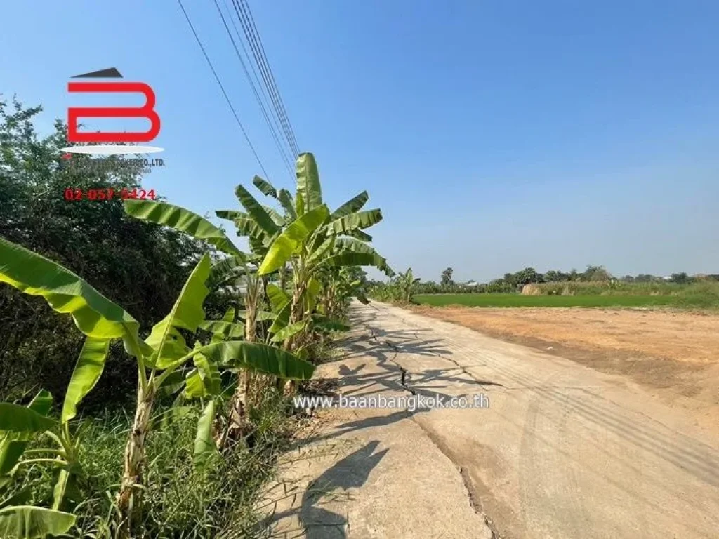 ที่ดินเปล่า ใกล้วัดไทรใหญ่ เนื้อที่ 5-3-80 ไร่ ถนนทางหลวงชนบท