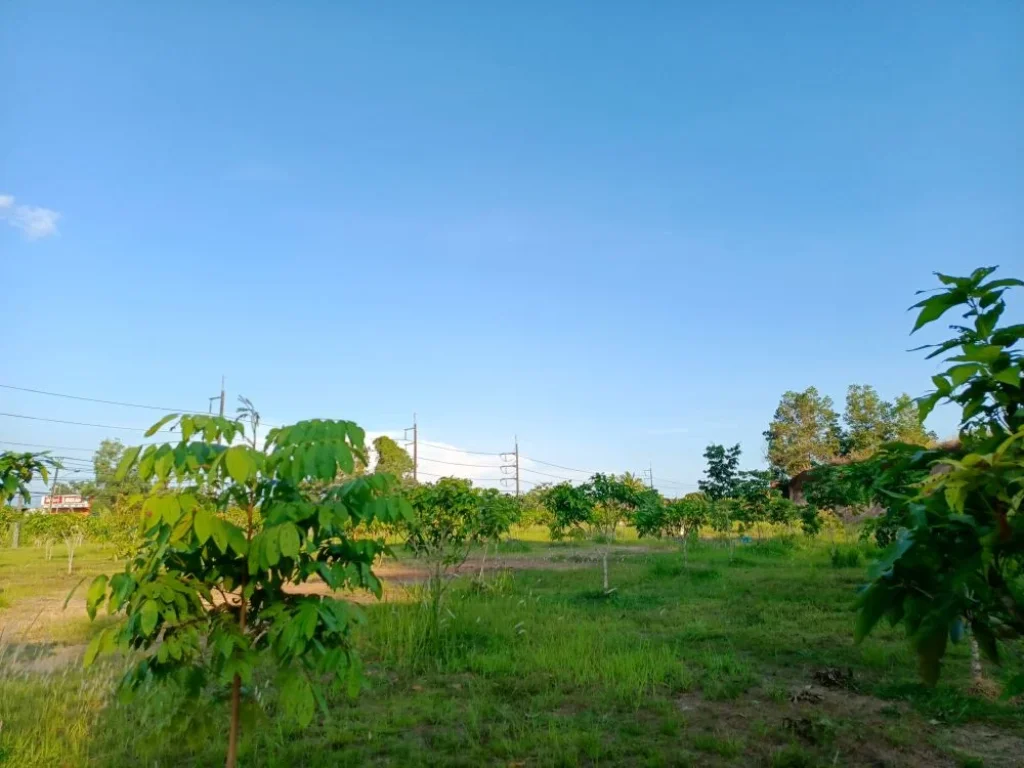 ขายที่ดินเปล่าติดถนนสุขุมวิท ใกล้ อบจเมืองตราด