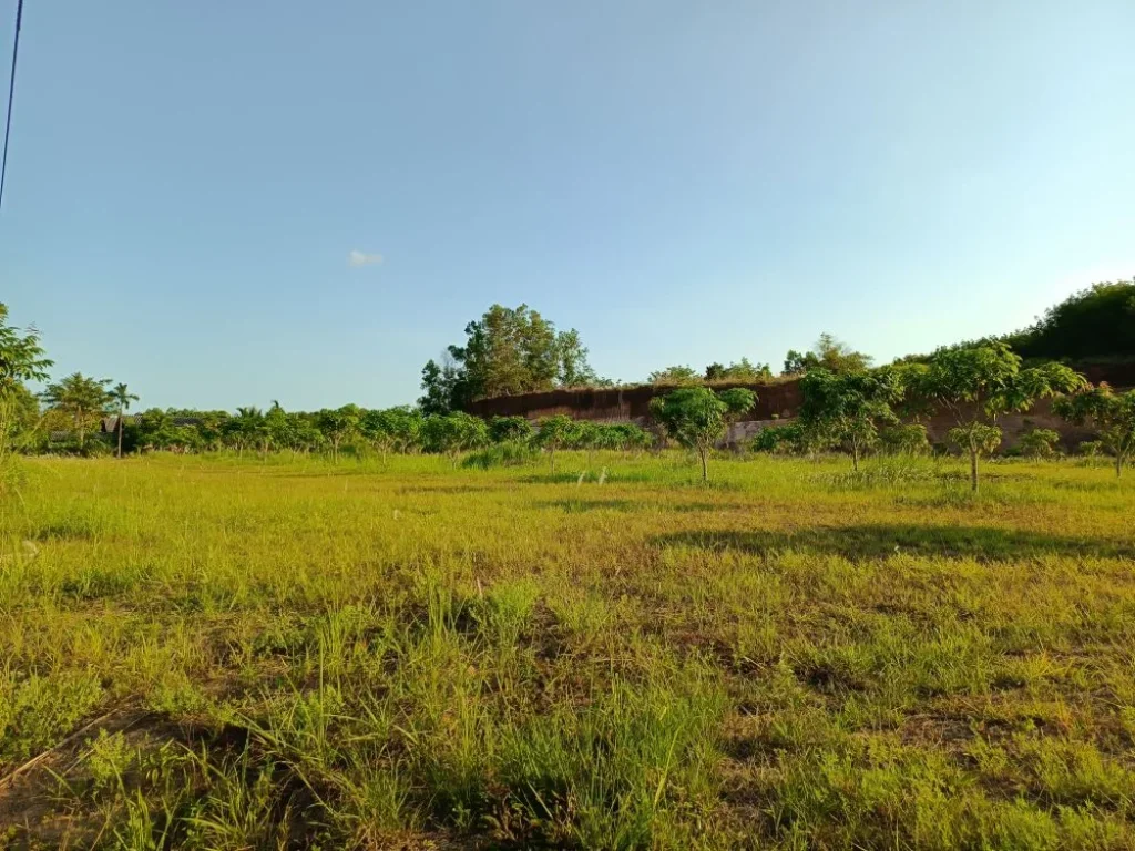 ขายที่ดินเปล่าติดถนนสุขุมวิท ใกล้ อบจเมืองตราด