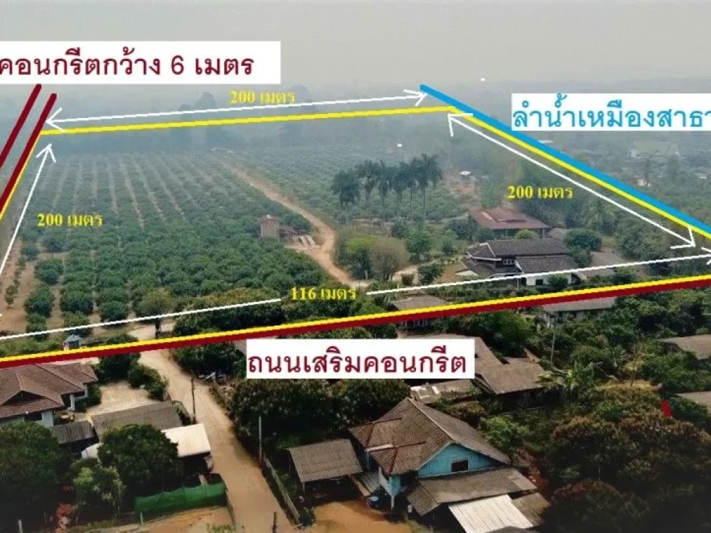 ที่สวนลำไยพร้อมบ้านหลังใหญ่ ติดถนน 2 ด้าน แม่สรวย ศรีถ้อย