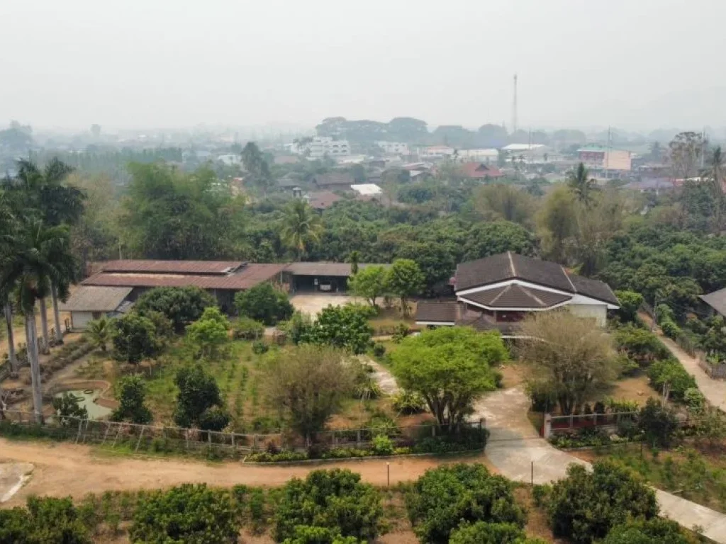 ที่สวนลำไยพร้อมบ้านหลังใหญ่ ติดถนน 2 ด้าน แม่สรวย ศรีถ้อย