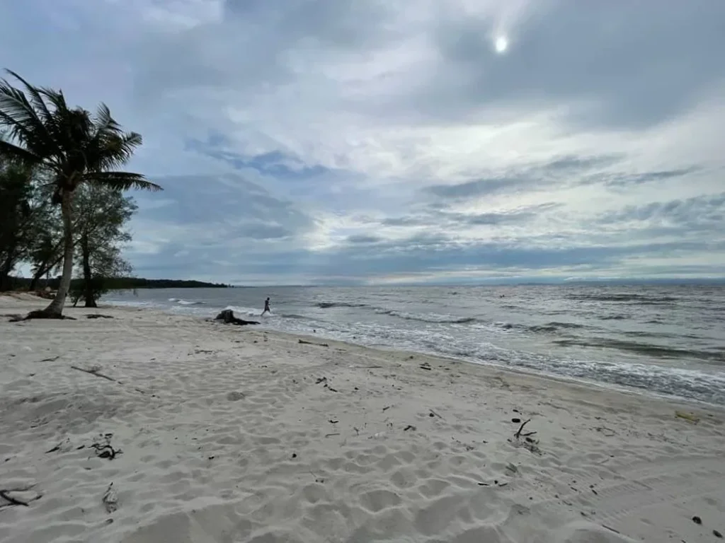 ขายที่ดินติดทะเล หาดไม้รูด อคลองใหญ่ จตราด รับนายหน้า