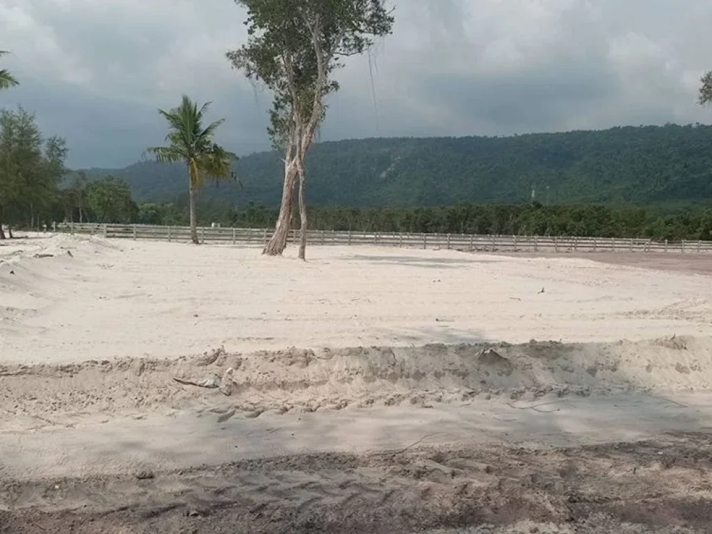 ขายที่ดินติดทะเล หาดไม้รูด อคลองใหญ่ จตราด รับนายหน้า