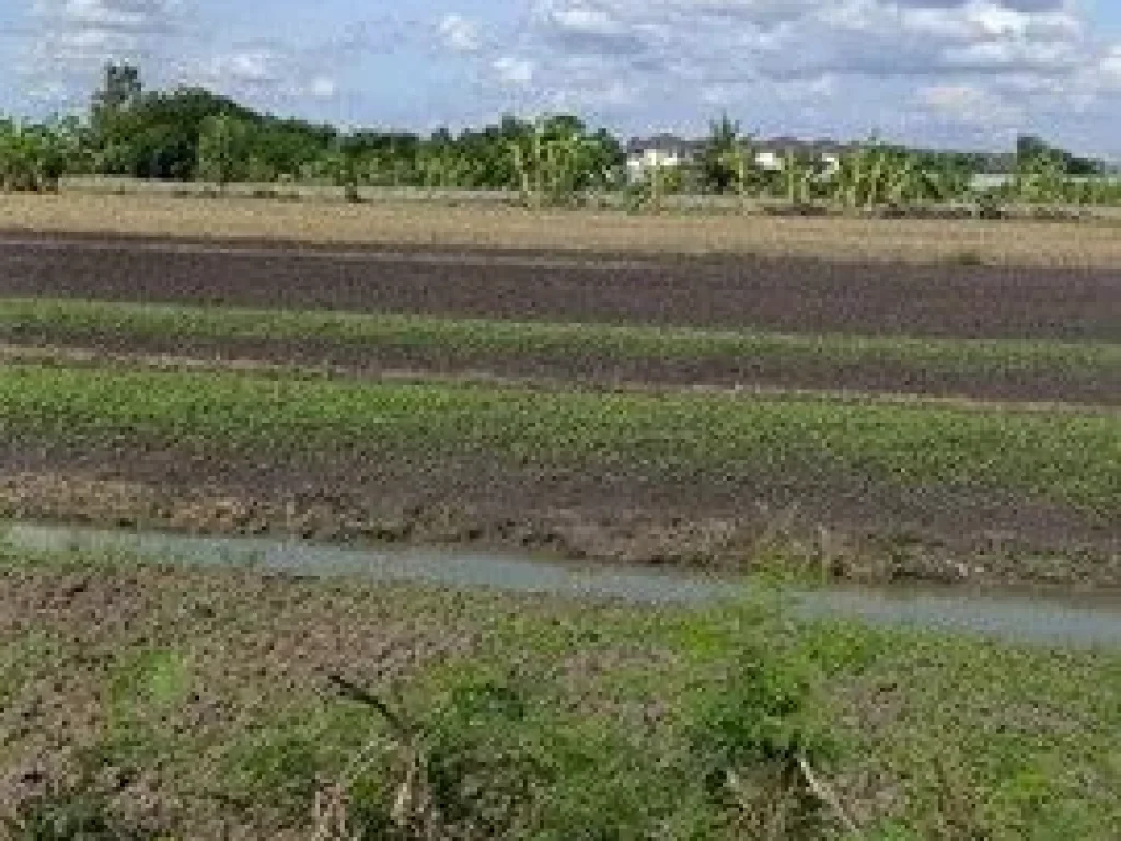 ที่ดิน ที่ดิน บางเดื่อ ใกล้ถนนราชพฤกษ์ ตัดใหม่ ปทุมธานี