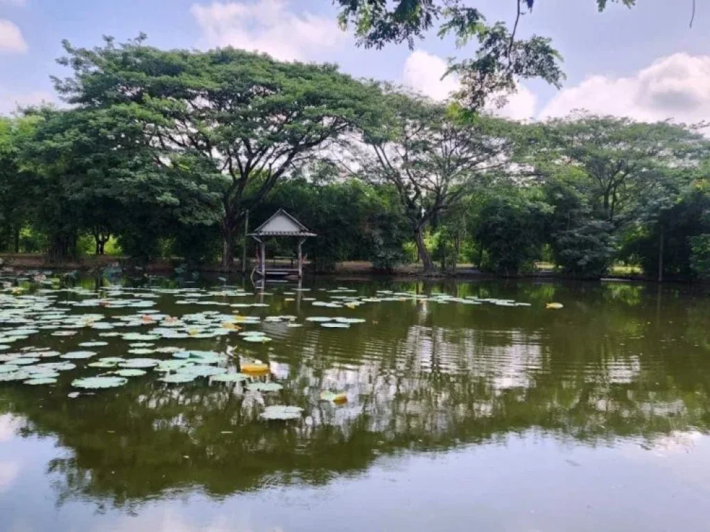 ลด 10 ล้าน ขายเรือนไทยและสิ่งปลูกสร้างหลายรายการพร้อมที่ดิน