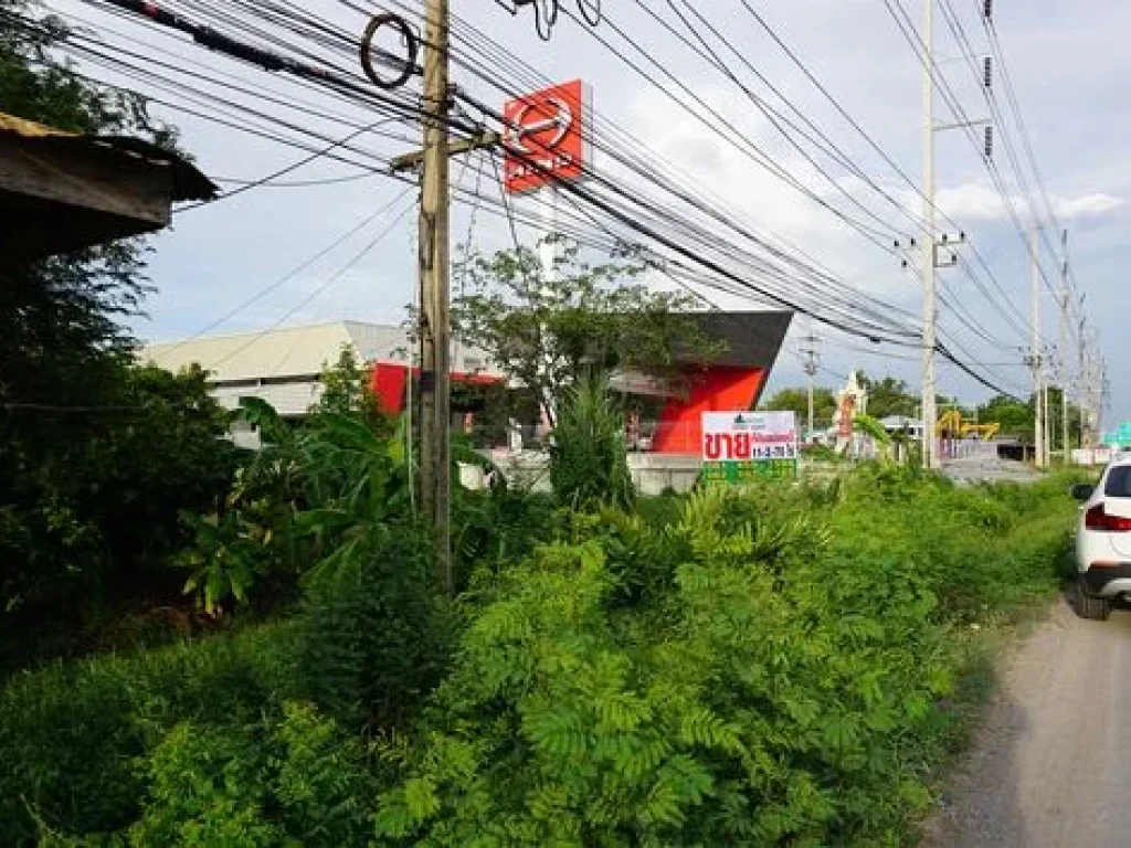 ขายที่ดิน ติดถนน 346 ปทุมธานี-ลาดหลุมแก้ว ปทุมธานี