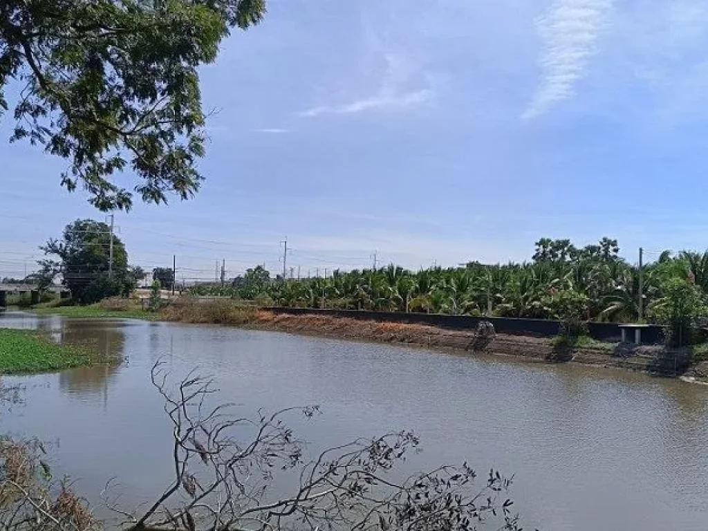 ขายที่ดินริมคลองบ้านสวนเสนา อเสนา จพระนครศรีอยุธยา เนื้อที่