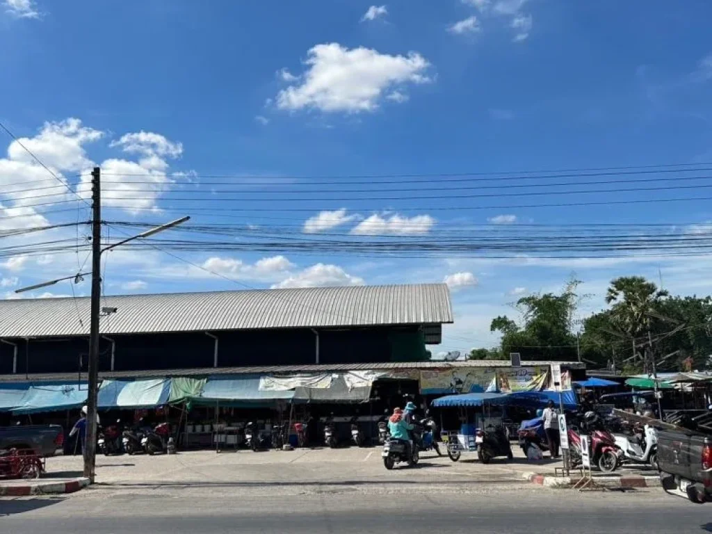 ขายที่ดินติดถนน อำเภอเมืองหนองบัวลำ อุดรธานี -จหนองบัวลำภู