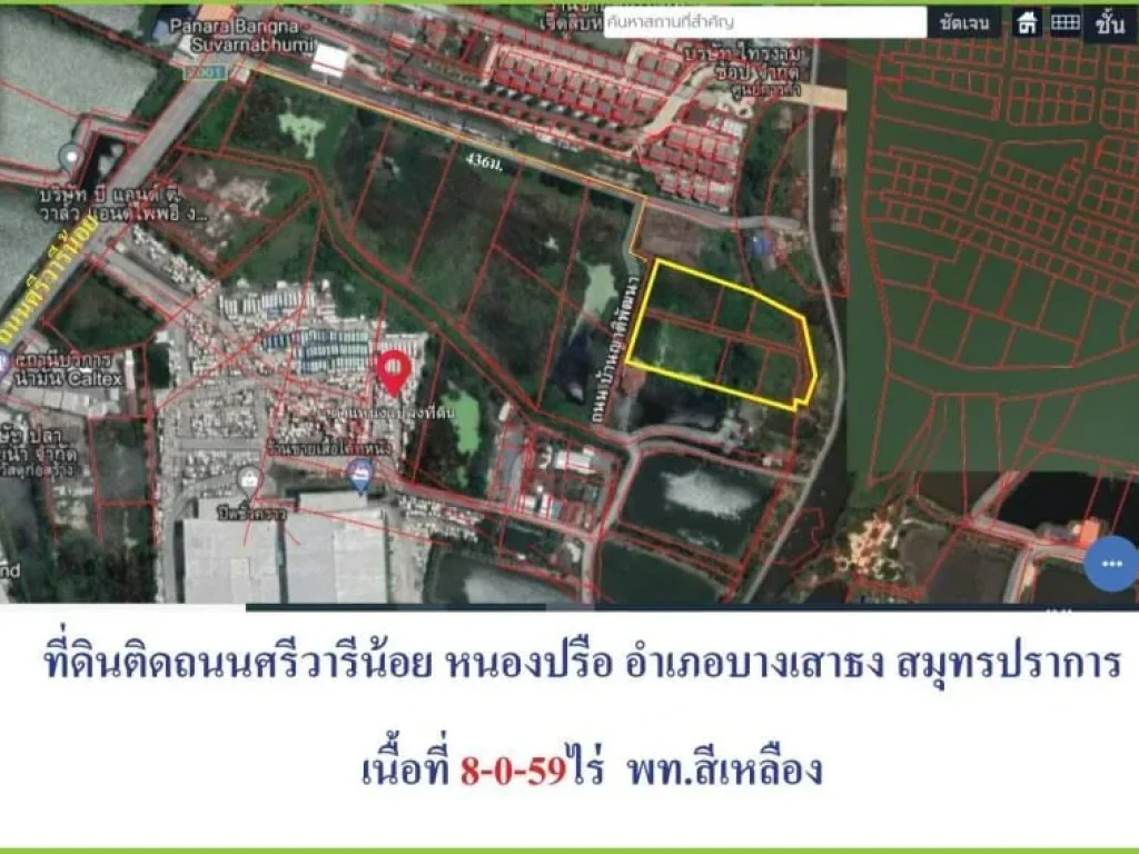 ขายที่ดินต่ำกว่าราคาตลาดที่ดินผังสีเหลืองถนนศรีวารีเหมาะทำโฮ