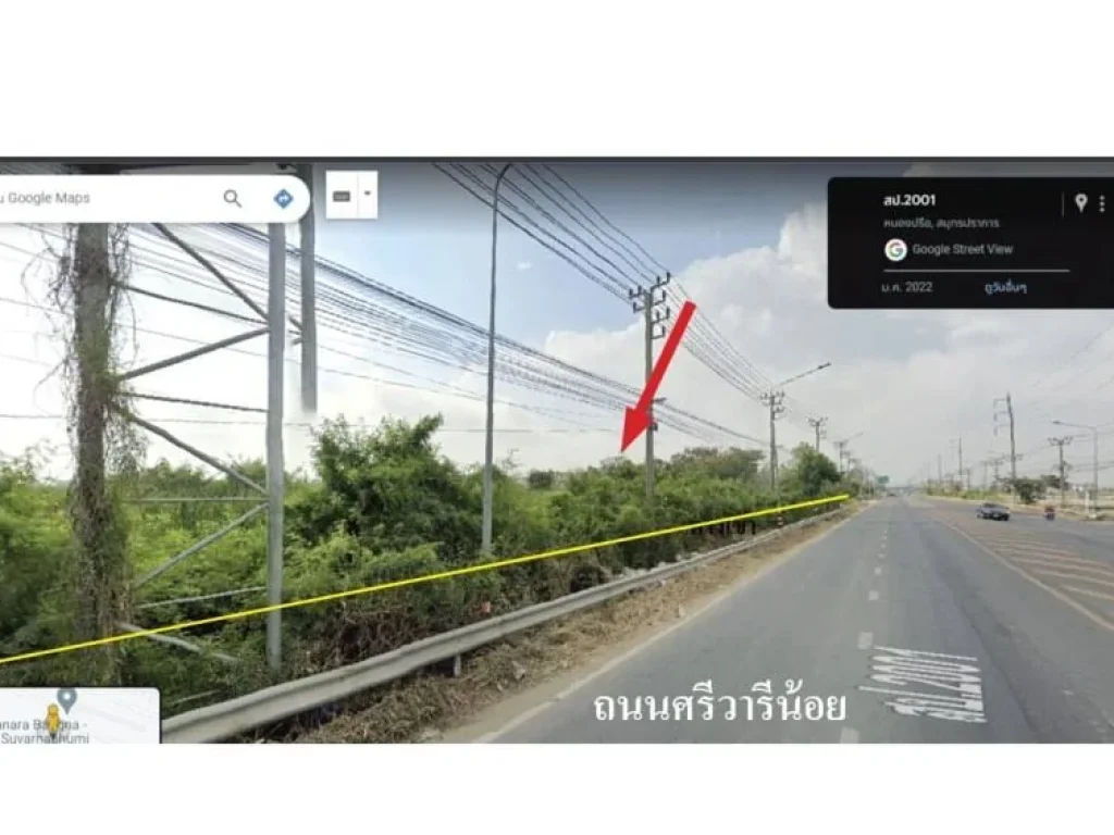 ขายที่ดินต่ำกว่าราคาตลาดที่ดินผังสีเหลืองถนนศรีวารีเหมาะทำโฮ