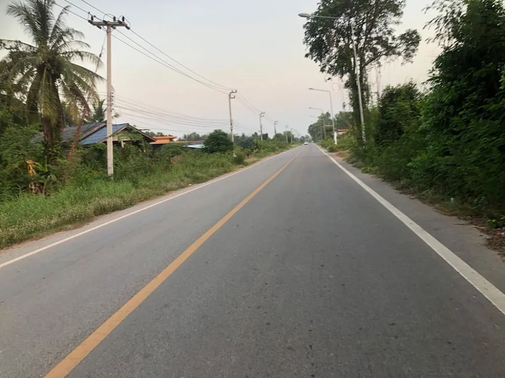 ขายที่ดิน 370 ตรว ติดถนนดำ อำเภอวัดโบสถ์ พิษณุโลก