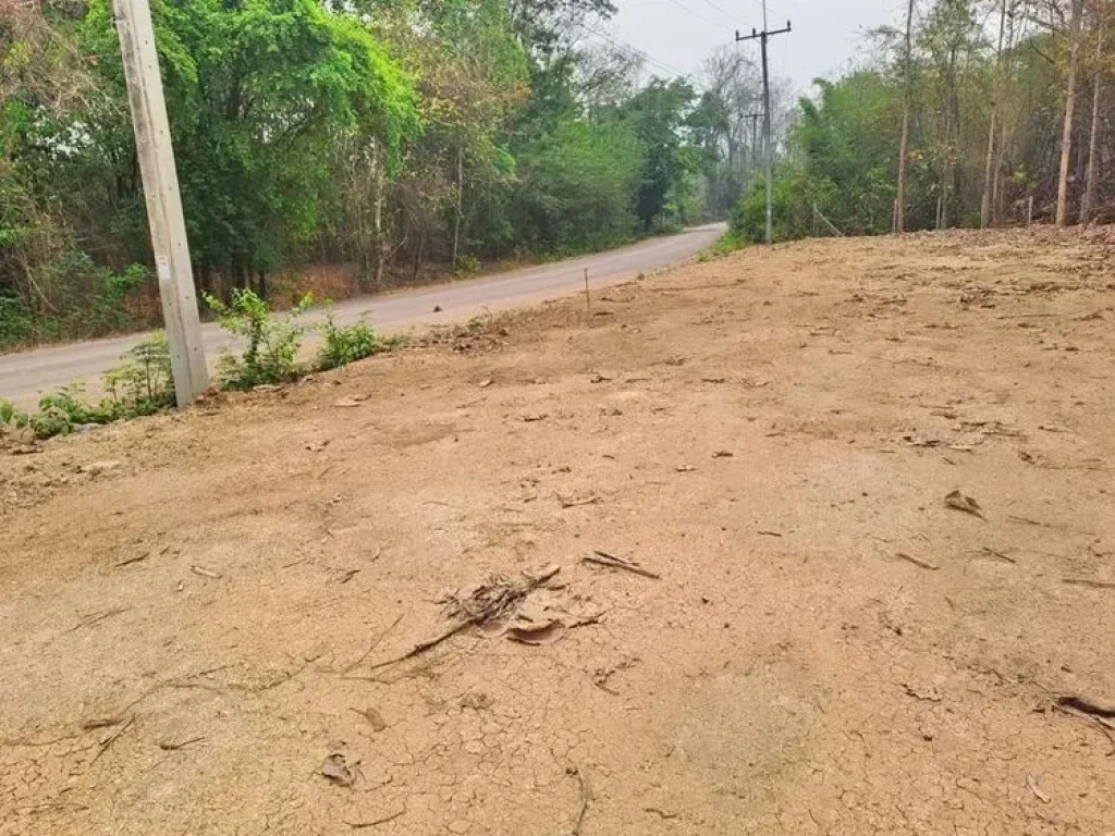 ที่ดินตำบลพิชัย หลัง รพค่ายฯ เมืองลำปาง ทำเลสวย เพียง