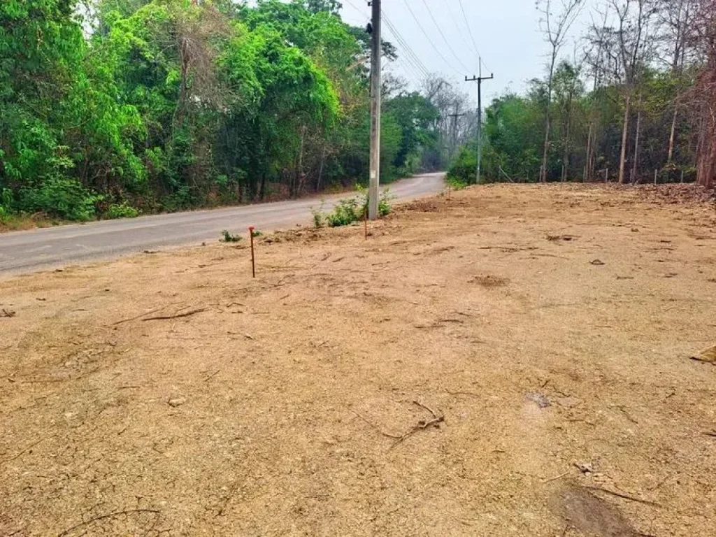 ที่ดินตำบลพิชัย หลัง รพค่ายฯ เมืองลำปาง ทำเลสวย เพียง