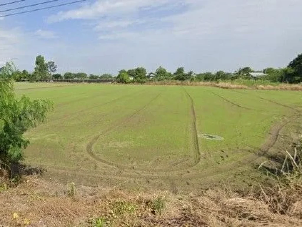 ขายที่ดินติดถนน และลำคลอง 2 ด้าน ตวัดไทร อเมืองนครสวรรค์