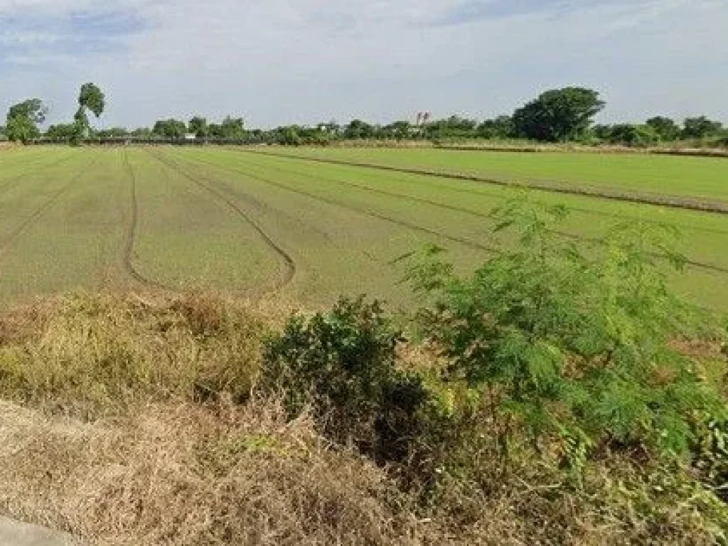 ขายที่ดินติดถนน และลำคลอง 2 ด้าน ตวัดไทร อเมืองนครสวรรค์