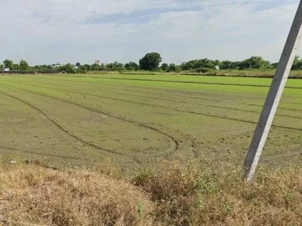 ขายที่ดินติดถนน และลำคลอง 2 ด้าน ตวัดไทร อเมืองนครสวรรค์